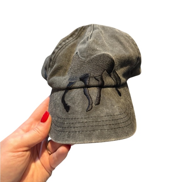 The Man Who Captured Sunshine Horse Baseball Cap - Picture 2 of 4